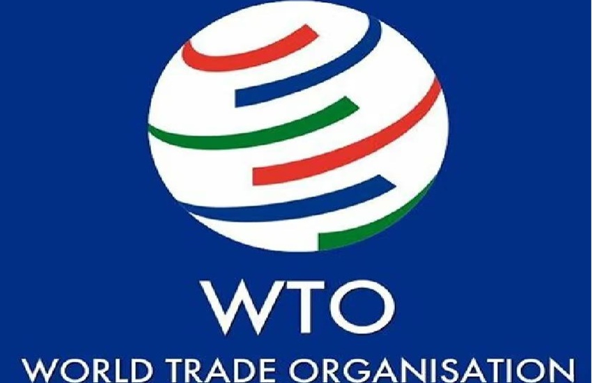 Policy Empowers Customs Clearance Acceleration